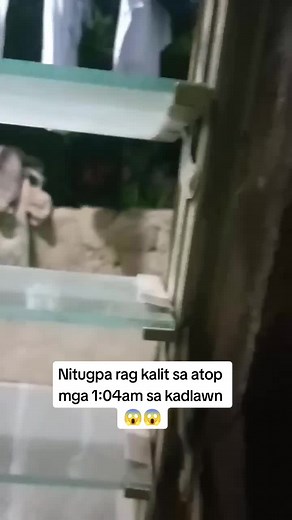 Manananggal Real Life Encounter in Carcar City - Scary Ghost Sighting!