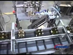 Douglas Machine Wrap Around Case Packer for Wine Bottles with Partitions Axiom® ARC