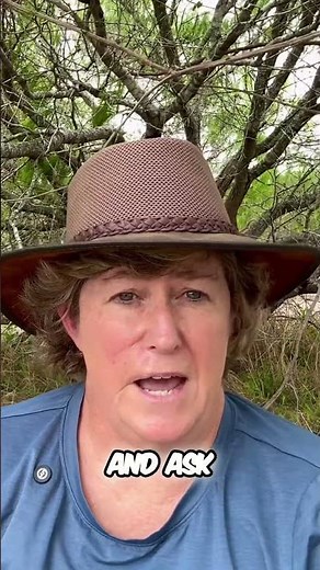 Exposure Compensation: Master Your Camera's Brightness