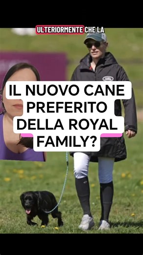 THE ROYAL FAMILY'S NEW FAVORITE DOG? ​​#princewilliam #zaratindall