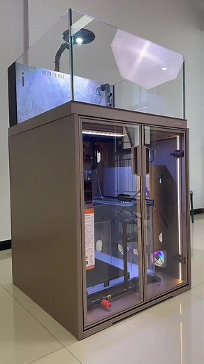 Creating a Stunning High-Tech Aquarium: Tips and Ideas