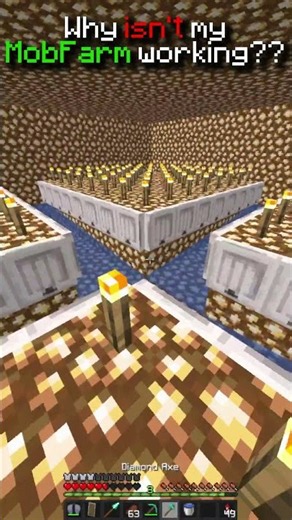 Why isn't my Mob Farm working??
