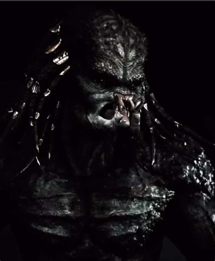 Probably my best assassin predator edit #predator #yautja #predatorbadlands #avp #assassinpredator