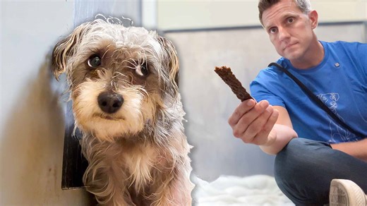 He Attacked - Now We Know Why 😔 | Rocky Kanaka