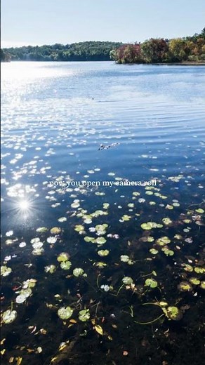 POV: You Open My Camera Roll at #Wellesley #college