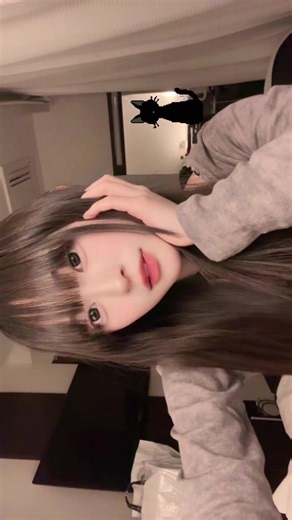 バックナンバーの最高の曲で心を癒す