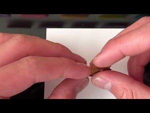 CORNETE NASAL INFERIOR DIEGO ARZABE ANATOMIA PRÁCTICAS O1