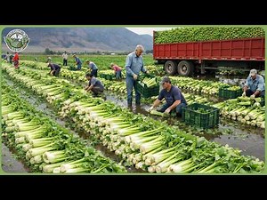 Amazing Global Harvest 2026 Rush – Billions Tons of Crops Are Being Harvested Worldwide
