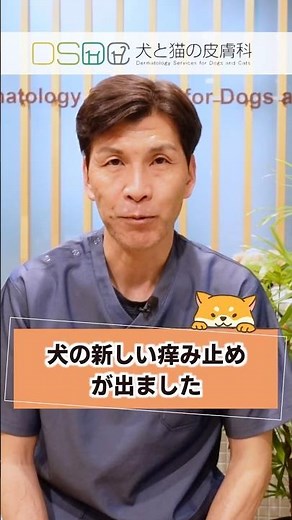 【犬と猫の皮膚科】犬のアトピー性皮膚炎に伴う症状、及びアレルギー性皮膚炎に伴うそう痒を緩和する新しい犬用経口JAK阻害剤を紹介！ゼンレリアは素早く痒みのぶり返しも無く、持続的に痒みを緩和します ①