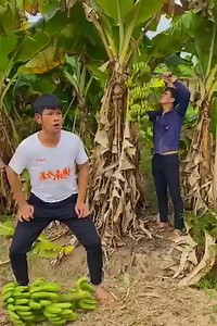Funny 2 brothers,Stealing Banana | KDM 24h | Facebook