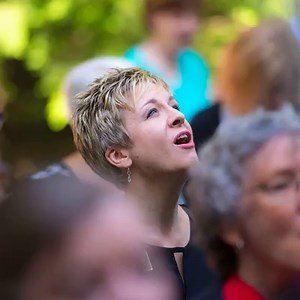 28K views · 3.6K reactions | Ruth's Prayer Garden at The Cove in...