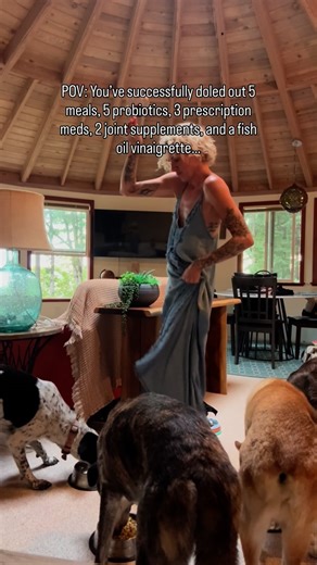 Brianna Madia on Instagram: "It’s called having 5 dogs ranging in age from 4.5 months to 14 years, sweetie, look it up ✋💅"