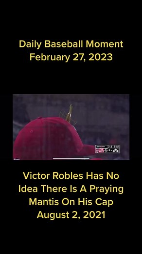 Praying Mantis on Victor Robles's Cap During MLB Game