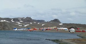 You will need a mandatory appendix removal operation to live in this town - Dr. Raj explains why