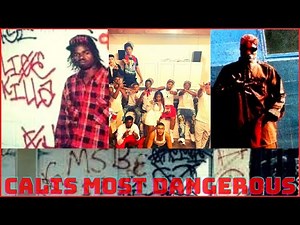 Who are the Family Swan bloods? |The Story of the MOST Militant Blood gang in Los Angeles.