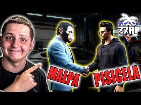 PISICELA BACK TO 77? | MR. MONKEY | 77RP 3.0 #5