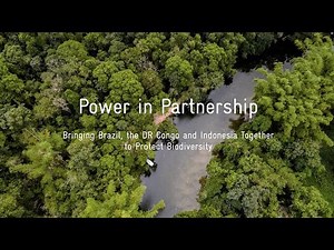 Power in Partnership: Bringing Brazil DRC and Indonesia Together to Protect Biodiversity | NBSAP Accelerator Partnership