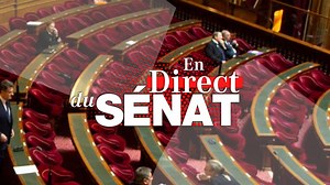 En direct du Sénat du 26 octobre - En direct du Sénat - Public Sénat