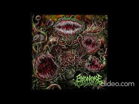 ByoNoiseGenerator – Turbulent Biogenesis [2015]