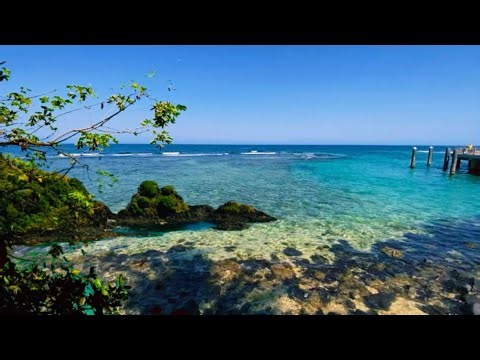 ASMR | Breathe and Let Go | Beach Sanctuary for Deep Relaxation and Inner Ease