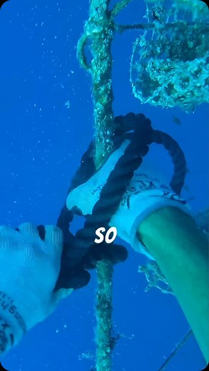 Kamoka Tahitian Pearls on Instagram: "How we dive for the most beautiful pearls on the planet 😍 #kamoka #kamokapearl"