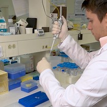 Video: Probing The Structure And Dynamics Of Nucleosomes Using Atomic Force Microscopy Imaging