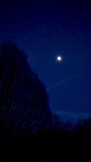 Geese Flying at Night Under a Bright Moon (Nature Sounds)#Geese #NatureSounds #FullMoon#NatureASMR