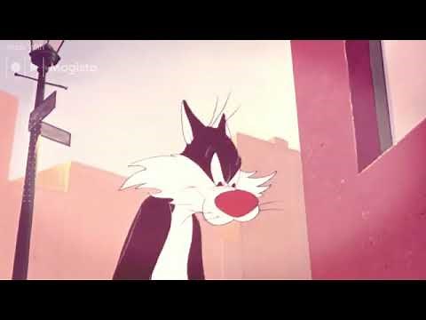 Sylvester and Tweety: Home Tweet Home