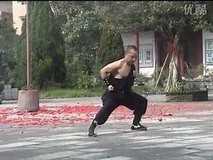 3 Boxeos del Sur Hung Gar: (南拳，虎鹤双形拳，工字伏虎拳) Nanquan, Tigre-Grulla, Doma del Tigre