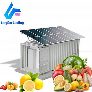 [Hot Item] Advanced Cold Storage Systems for Optimal Fresh Food Preservation