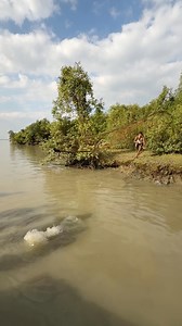 amazing Sundarbans river fishing #fishing #fishcatching #CastNetFishing #viralfishing #bigfish | SK Fishing BD