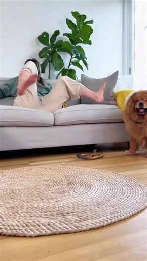 46K views · 56 reactions | Dog's Snake Prank Causes ULTIMATE Chaos! 藍 (AI) | Panda Curioso | Facebook