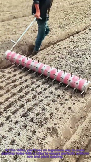 Perfect Spacing: Using a Roller for Uniform Planting Holes