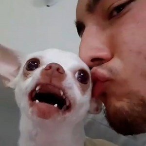 How pets react to being kissed! 😘😹 | Furry Tails