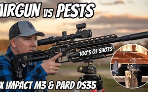 【追猎】⛔FX Impact M3 气步枪狩猎 ||兔子、鸽子、印度八哥   额外野猫_2🦡猎人#打猎