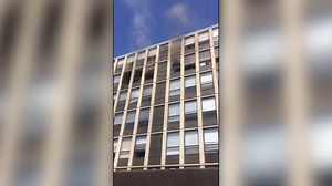 CAUGHT ON CAMERA: A Chicago cat may now have eight lives after jumping out of a fifth-floor window Thursday afternoon to escape an apartment fire. 📷: CNN Newsource https://wjactv.com/news/offbeat/chicago-cat-fleeing-fire-survives-5-story-jump-walks-off | WJAC-TV News