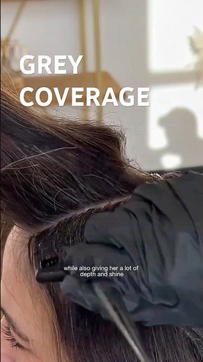 Grey Coverage with Depth & Shine How To