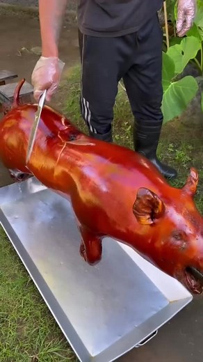 TropicVibeJive on TikTok