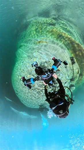 Get creative underwater shots with the Insta360 X5 #insta360 #insta360underwater #insta360x5