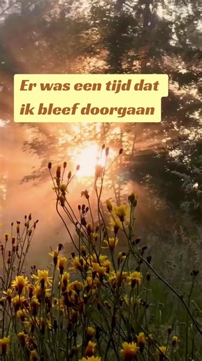 Soms stopt het lichaam eerst.🌅 Blijf even. Adem mee. #misschristmas #findthemagicinthechaos #luisteren