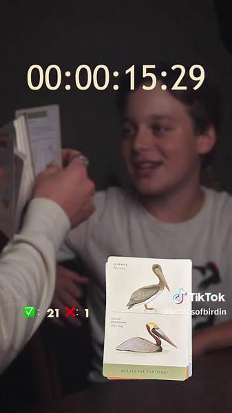 Bird Identification Challenge: How Many Did You Spot?