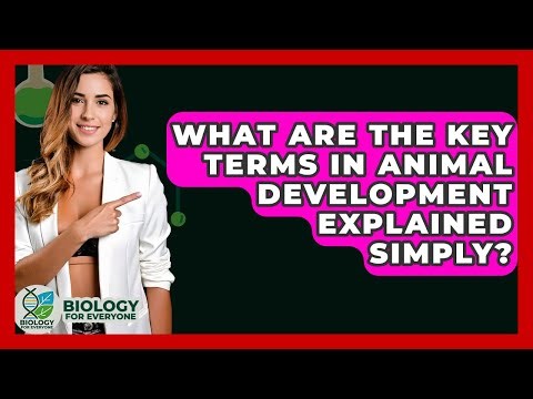 What Are The Key Terms In Animal Development Explained Simply? - Biology For Everyone