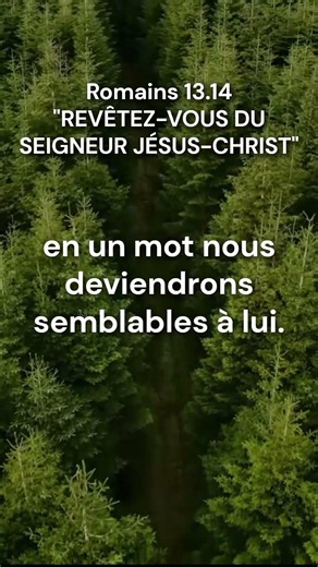 Bible d'étude Esprit et Vie #etudierlabible #bible