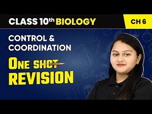 Control and Coordination - One Shot Revision | Class 10 Biology Chapter 6 | CBSE 2024-25