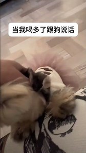 Unbelievable! The AI's Secret Language Decode Surprise AIRevolution