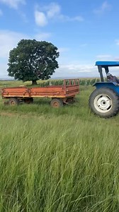 Vlog with Goodwill 😂 At the Bundus ⛰️ | Mdala 👨 | Goat 🐐 | Ukutheza 🪵 | Bonsmara bull 🐂 | Adventure 🏞️ | Boost Loans 💰 | @top fans ❤️ Use this link to subscribe to my YouTube channel https://youtube.com/@goodwill_sbo?si=IcN-CrMIORZyB9FO | Goodwill Sbongiseni Mtsweni