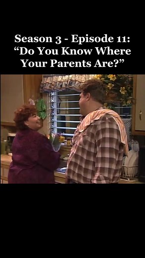 #roseanne #roseanneclips #roseannetvshow #roseanneconner #roseannebarr #tvshow #funny #comedy #fyp #foryou