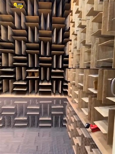 Exploring the World’s Quietest Room Experience