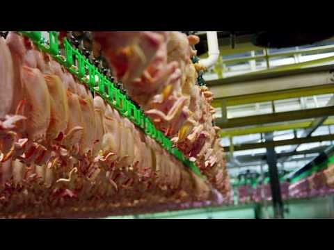 Air Chilled Chicken Process