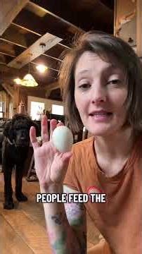 People really had a lot to say when I talked about eating egg shells 😅 Some said it’s a waste of